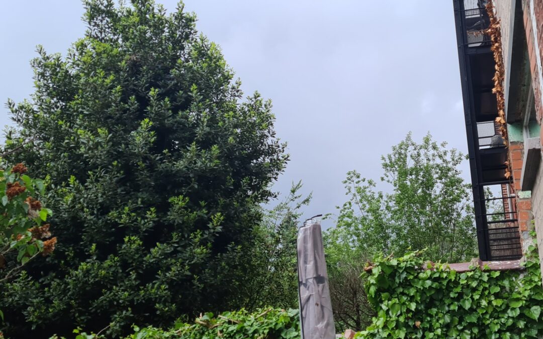 launching rain in Brussels after warmt